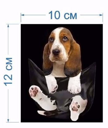 Аплікація пришивна